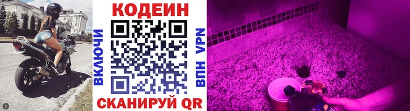 Кодеиновый сироп Lean Purple Drank  darknet формула  Купино 
