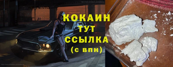 ГАЛЛЮЦИНОГЕННЫЕ ГРИБЫ Зуевка