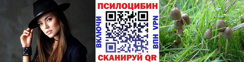 Псилоцибиновые грибы GOLDEN TEACHER  купить закладку  Купино 